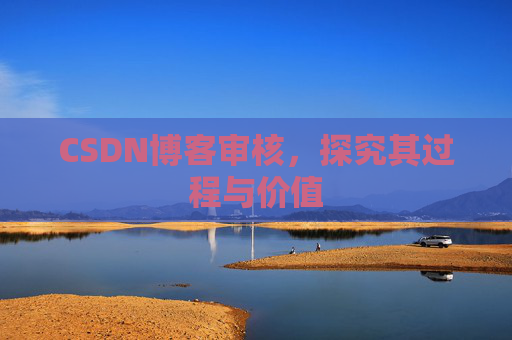 CSDN博客审核,探究其过程与价值